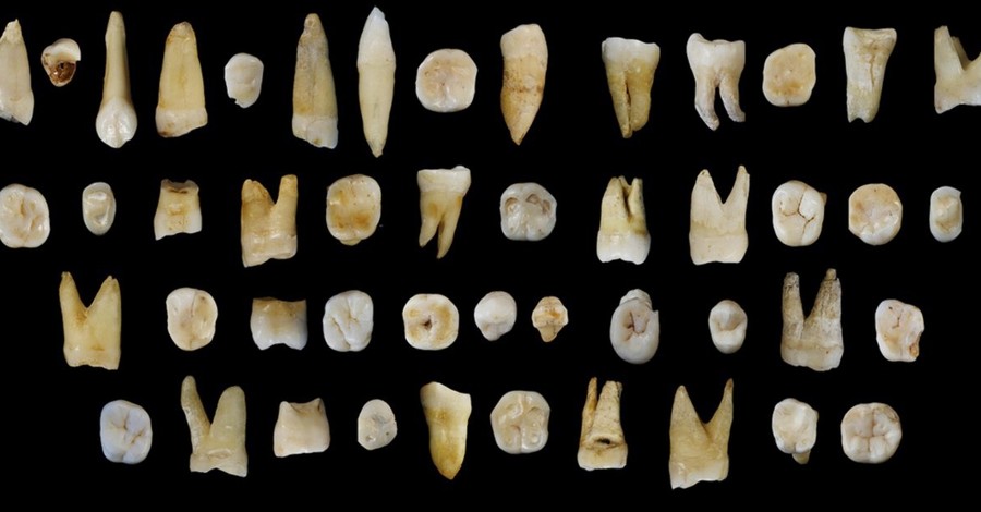 В Китае нашли древние человеческие зубы, которые могут перевернуть исторические каноны 