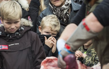 В Дании перед детьми разрезали льва