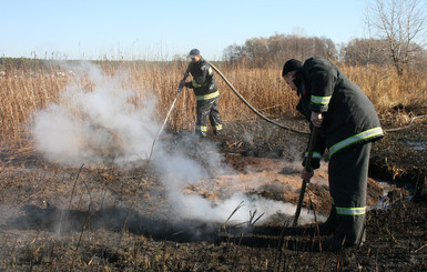 Под Киевом горят более 100 гектар торфяников  