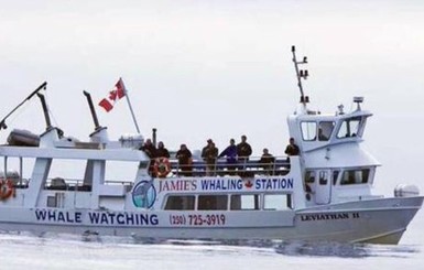 Обнаружены тела четырех пассажиров судна, затонувшего у берегов Канады  