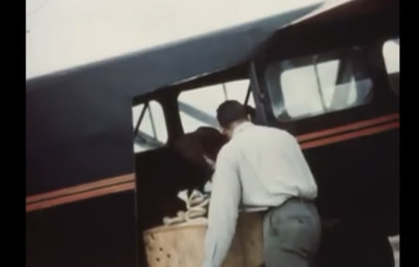 Появилось видео, как в 1948 году бобров учили летать на парашютах 