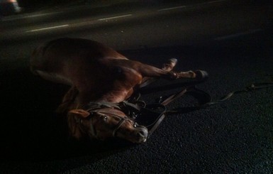 На Львовщине в ДТП погибли две лошади