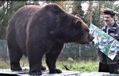 В Финляндии объявился медведь-художник