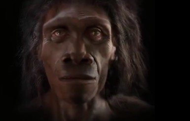 Из обезьяны в человека: создали видео эволюции человеческого лица за 6 миллионов лет 