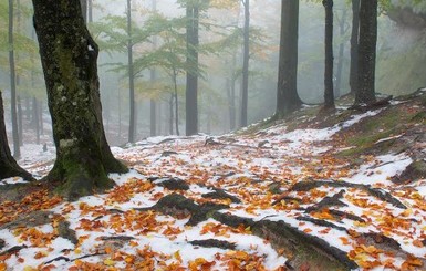 На Прикарпатье Скалы Довбуша укрыло снегом