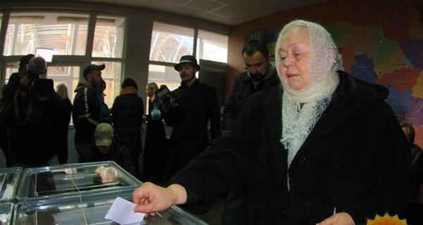 Выборы в Днепропетровске нельзя признать демократичными и соответствующими европейским стандартам, - международные наблюдатели