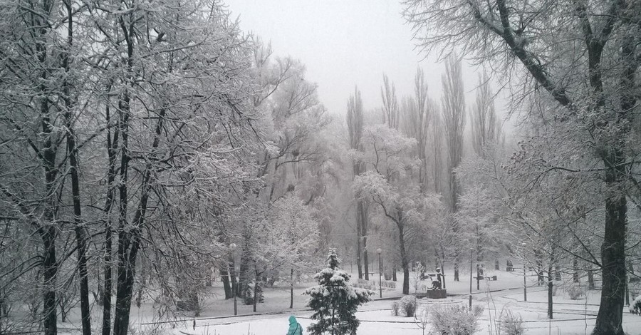 Снегопад в Киеве: жители столицы радуются, а коммунальщики борются