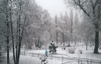 Снегопад в Киеве: жители столицы радуются, а коммунальщики борются
