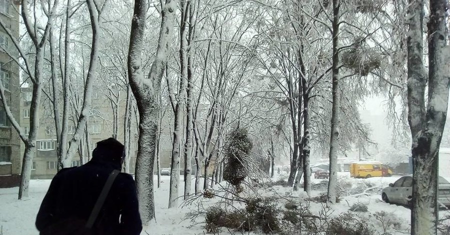 В Харькове из-за непогоды падают деревья и не ходят электрички