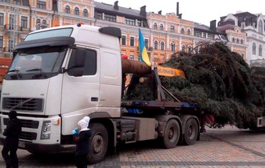 В Киев с трембитами приехала главная елка страны
