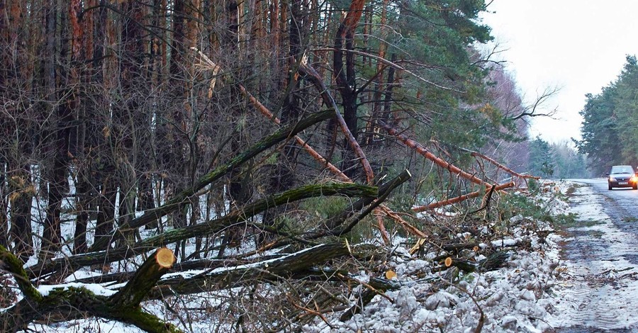 В Харьковской области не могут справиться с последствиями снегопада