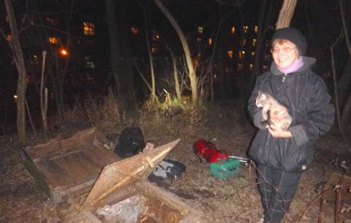В Киеве котенок угодил в глубокий погреб, чтобы найти новую хозяйку