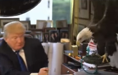 На Дональда Трампа напал орел 