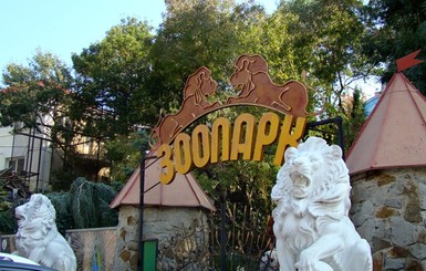 Директор ялтинского зоопарка объявил о закрытии 