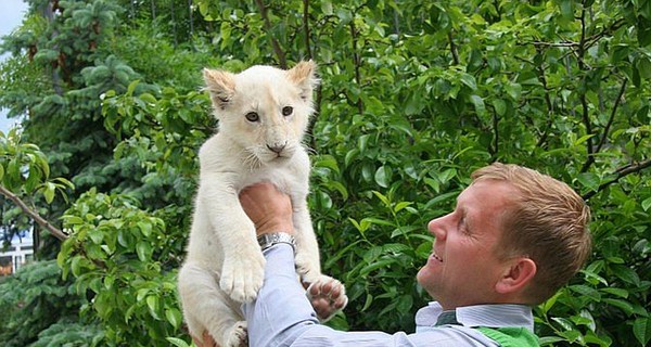 Владельца двух крымских зоопарков приговорили к трем годам условно