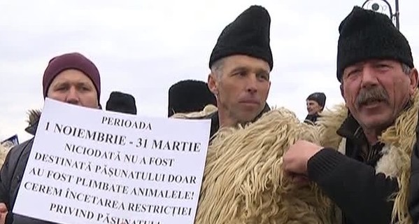 В Румынии тысячи пастухов взяли штурмом парламент страны 