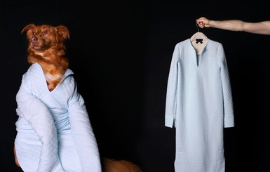Украинский дизайнер примерила женскую одежду на собак 
