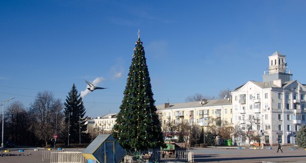 В центре Донецкой области нарядили елку