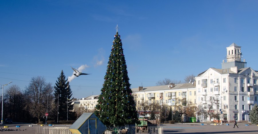 В центре Донецкой области нарядили елку