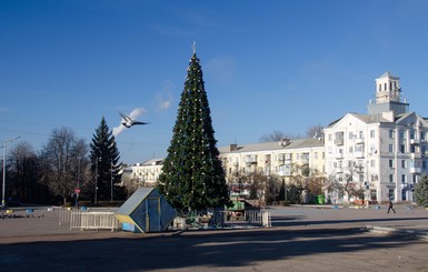 В центре Донецкой области нарядили елку