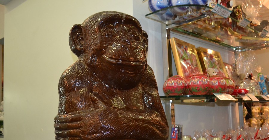 Самую большую обезьяну из шоколада отлили с 15-й попытки