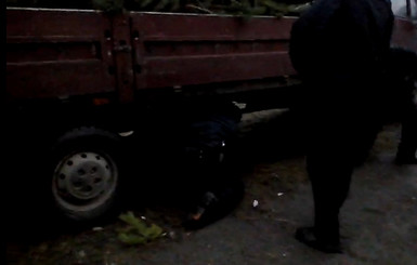 Продавец браконьерских елок спрятался от полиции под грузовиком