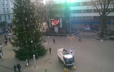 Во Львове в канун Нового года украли 90 елок