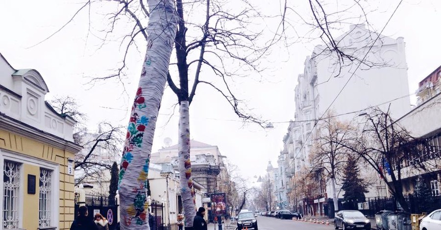 В Киеве деревья утеплили на зиму шарфами и платьями