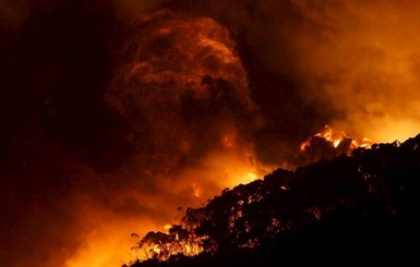 В Австралии лесные пожары уничтожили более ста домов