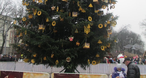 Во Львове за праздником у главной елки будут следить онлайн