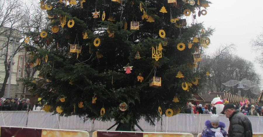 Во Львове за праздником у главной елки будут следить онлайн
