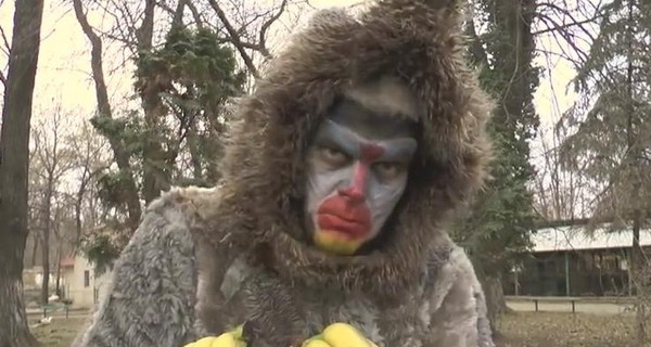 Директор одесского зоопарка переоделся гамадрилом и снялся в клипе