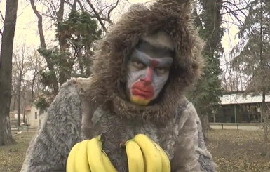 Директор одесского зоопарка переоделся гамадрилом и снялся в клипе