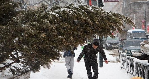 Сегодня днем, 11 января, в Украине пройдет снег