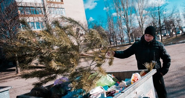 В Киеве открыли пункты приема елок