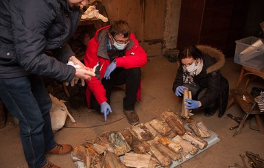 На Прикарпатье в лесу нашли бидон с архивом УПА