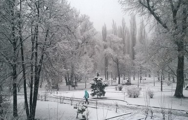 В воскресенье, 17 января, Украину накроют сильные снегопады