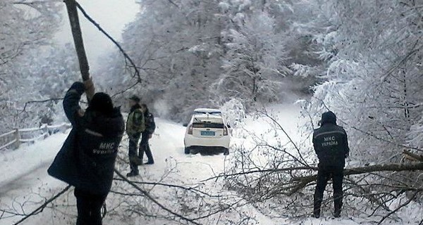 На Закарпатье снегопад валил деревья