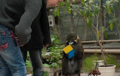 Главная запорожская обезьяна получила паспорт гражданина Украины
