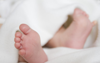 В 2015-м новорожденных харьковчан чаще всего называли Андреями и Анжеликами