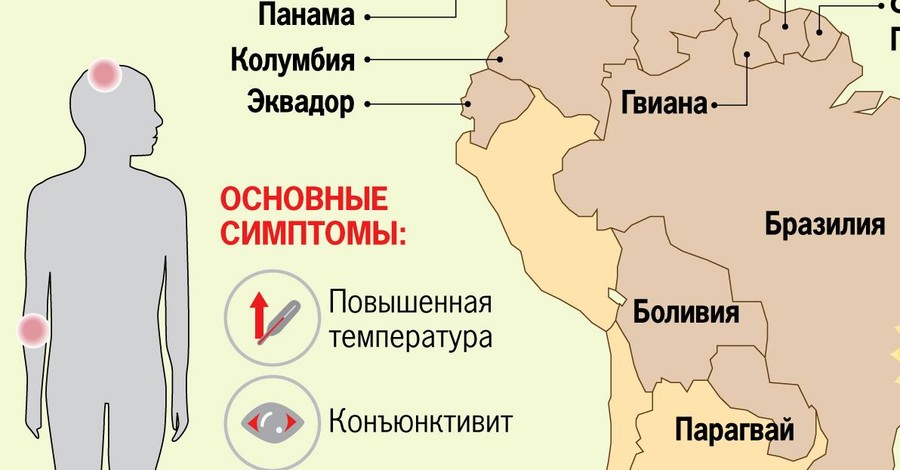 Чем опасен вирус Зика и угрожает ли он украинцам 