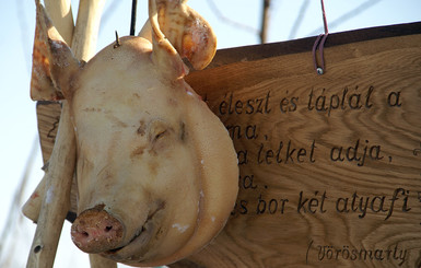 Фестиваль мясников на Закарпатье в этом году пройдет без резни