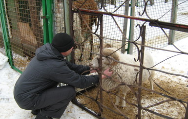 Скандал в днепропетровском зоопарке: дирекция против волонтеров