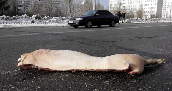 В Харькове нерадивый водитель потерял на дороге 14,5 свиней
