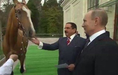 Путин подарил королю Бахрейна жеребца