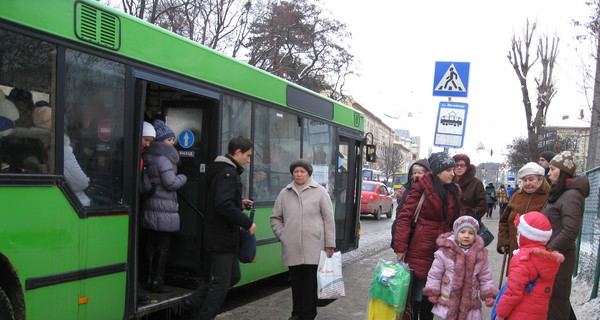 Во Львове ночные автобусы решили оставить