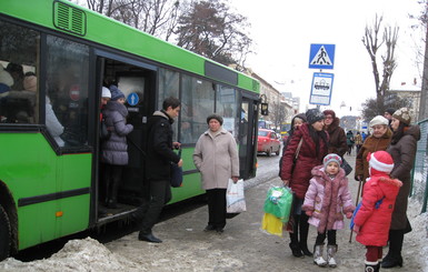 Во Львове ночные автобусы решили оставить