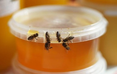 Люди распространяют вирус, который убивает пчел по всему миру