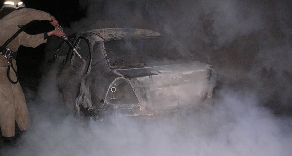 На Киевщине в День святого Валентина автомобиль столкнулся с диким кабаном и загорелся