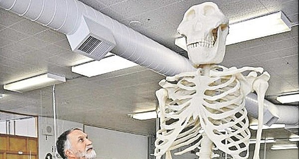 В руках ученых оказался скелет снежного человека